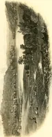 An illustration from The home book of the picturesque, or, American scenery, art, and literature : comprising a series of essays by Washington Irving, W.C. Bryant, Fenimore Cooper, Miss Cooper, N.P. Willis, Bayard Taylor, H.T. Tuckerman, E.L. Magoon, Dr. Bethune, A.B. Street, Miss Field, etc., with thirteen engravings on steel, from pictures by eminent artists, engraved expressly for this work (1852)