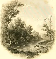 An illustration from The home book of the picturesque, or, American scenery, art, and literature : comprising a series of essays by Washington Irving, W.C. Bryant, Fenimore Cooper, Miss Cooper, N.P. Willis, Bayard Taylor, H.T. Tuckerman, E.L. Magoon, Dr. Bethune, A.B. Street, Miss Field, etc., with thirteen engravings on steel, from pictures by eminent artists, engraved expressly for this work (1852)