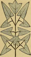 An illustration from Home decoration: art needle-work and embroidery; painting on silk, satin, and velvet; panel-painting; and wood-carving (1881)