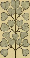 Picture 3 of 62 from Home decoration: art needle-work and embroidery; painting on silk, satin, and velvet; panel-painting; and wood-carving (1881), leaf 14