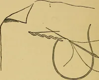 An illustration from Home decoration: art needle-work and embroidery; painting on silk, satin, and velvet; panel-painting; and wood-carving (1881)