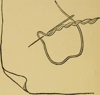 An illustration from Home decoration: art needle-work and embroidery; painting on silk, satin, and velvet; panel-painting; and wood-carving (1881)