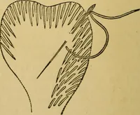 An illustration from Home decoration: art needle-work and embroidery; painting on silk, satin, and velvet; panel-painting; and wood-carving (1881)