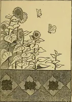An illustration from Home decoration: art needle-work and embroidery; painting on silk, satin, and velvet; panel-painting; and wood-carving (1881)