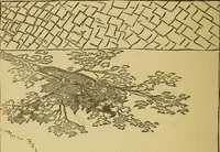 An illustration from Home decoration: art needle-work and embroidery; painting on silk, satin, and velvet; panel-painting; and wood-carving (1881)