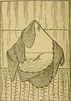 An illustration from Home decoration: art needle-work and embroidery; painting on silk, satin, and velvet; panel-painting; and wood-carving (1881)