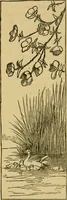 An illustration from Home decoration: art needle-work and embroidery; painting on silk, satin, and velvet; panel-painting; and wood-carving (1881)