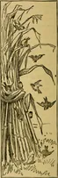 An illustration from Home decoration: art needle-work and embroidery; painting on silk, satin, and velvet; panel-painting; and wood-carving (1881)