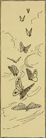 An illustration from Home decoration: art needle-work and embroidery; painting on silk, satin, and velvet; panel-painting; and wood-carving (1881)