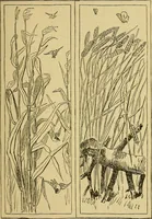 An illustration from Home decoration: art needle-work and embroidery; painting on silk, satin, and velvet; panel-painting; and wood-carving (1881)