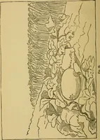 An illustration from Home decoration: art needle-work and embroidery; painting on silk, satin, and velvet; panel-painting; and wood-carving (1881)