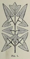 An illustration from Home decoration: art needle-work and embroidery; painting on silk, satin, and velvet; panel-painting; and wood-carving (1881)