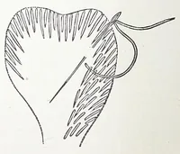 An illustration from Home decoration: art needle-work and embroidery; painting on silk, satin, and velvet; panel-painting; and wood-carving (1881)