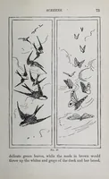 Picture 11 of 18 from Home decoration: art needle-work and embroidery; painting on silk, satin, and velvet; panel-painting; and wood-carving (1881), leaf 77