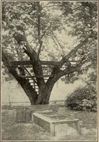 An illustration from The home and the family; an elementary textbook of home making (1917)