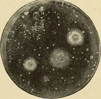 An illustration from The home and the family; an elementary textbook of home making (1917)