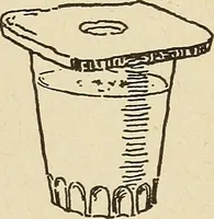 An illustration from The home and the family; an elementary textbook of home making (1917)