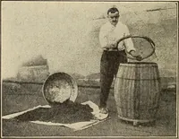 An illustration from The home and the family; an elementary textbook of home making (1917)