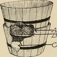 An illustration from The home and the family; an elementary textbook of home making (1917)