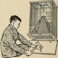 Picture 99 of 180 from The home and the family; an elementary textbook of home making (1917), leaf 167