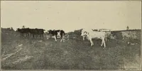 An illustration from The home and the family; an elementary textbook of home making (1917)