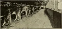 Picture 117 of 180 from The home and the family; an elementary textbook of home making (1917), leaf 192
