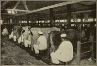 An illustration from The home and the family; an elementary textbook of home making (1917)