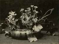 An illustration from The home and the family; an elementary textbook of home making (1917)