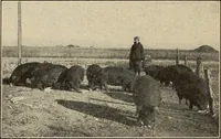 An illustration from The home and the family; an elementary textbook of home making (1917)