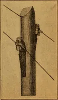 An illustration from Home-farm power and lighting, a book of helpful instruction on the installation (1920)
