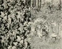 Picture 54 of 63 from Home furnishing; facts and figures about furniture, carpets and rugs, lamps and lighting fixtures, wall papers, window shades and draperies, tapestries, etc. (1913), leaf 254