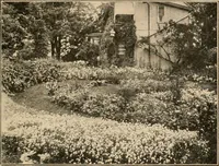 An illustration from The home garden (1917)