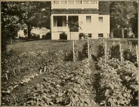 An illustration from The home garden (1917)