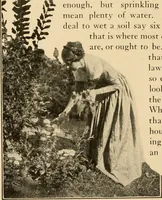 Picture 11 of 57 from The home garden (1917), leaf 39