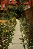 Picture 13 of 57 from The home garden (1917), leaf 41
