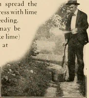 Picture 15 of 57 from The home garden (1917), leaf 46
