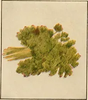An illustration from The home garden (1917)