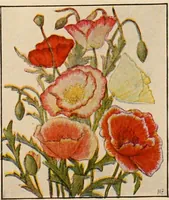 An illustration from The home garden (1917)