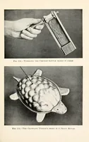 Picture 6 of 15 from Home-made toys for girls and boys : wooden and cardboard toys, mechanical and electrical toys (1915), leaf 103