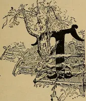An illustration from Home mission handicraft; ideas for work and play in mission bands and junior societies (1908)