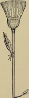 An illustration from Home mission handicraft; ideas for work and play in mission bands and junior societies (1908)