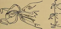 An illustration from Home mission handicraft; ideas for work and play in mission bands and junior societies (1908)