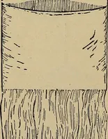 An illustration from Home mission handicraft; ideas for work and play in mission bands and junior societies (1908)