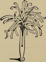 An illustration from Home mission handicraft; ideas for work and play in mission bands and junior societies (1908)