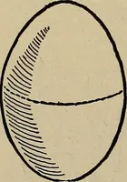 An illustration from Home mission handicraft; ideas for work and play in mission bands and junior societies (1908)