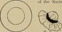 An illustration from Home mission handicraft; ideas for work and play in mission bands and junior societies (1908)