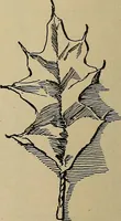 An illustration from Home mission handicraft; ideas for work and play in mission bands and junior societies (1908)