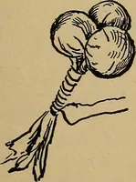 An illustration from Home mission handicraft; ideas for work and play in mission bands and junior societies (1908)