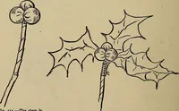 An illustration from Home mission handicraft; ideas for work and play in mission bands and junior societies (1908)