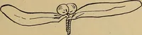 An illustration from Home mission handicraft; ideas for work and play in mission bands and junior societies (1908)